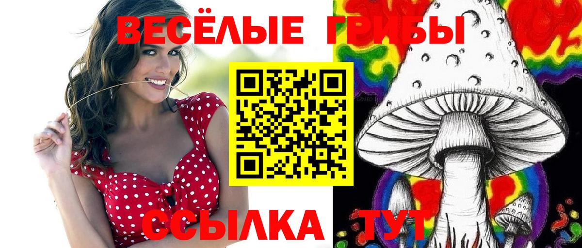 Галлюциногенные грибы GOLDEN TEACHER Ярцево